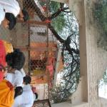 Vraj-Yatra-2014- (1161)